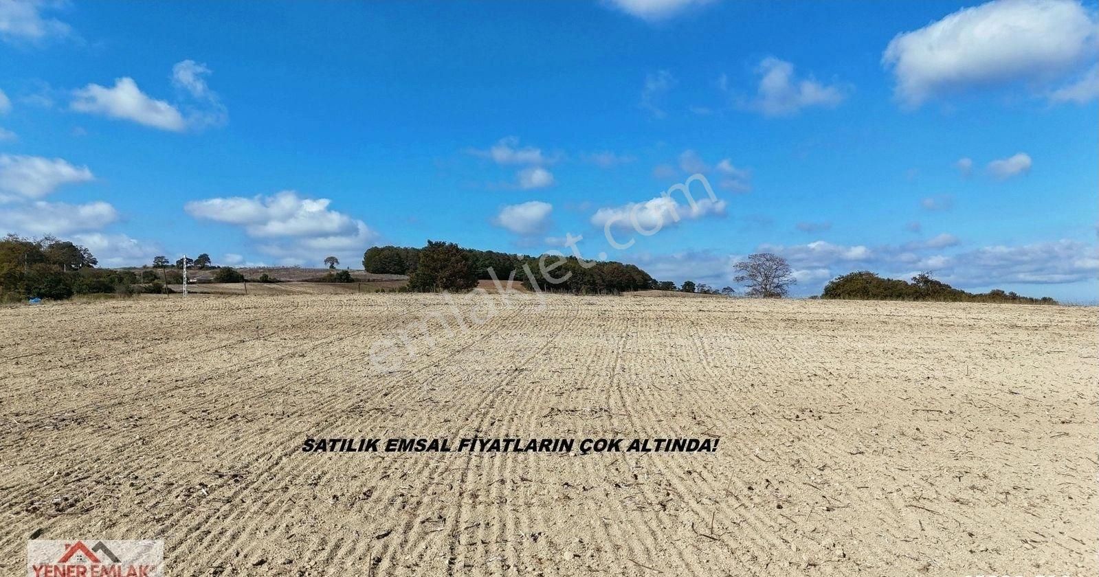 Emsallerinin Çok Altında ▒ Kaynarca Kertil 12.557m2 Fırsat Tarla - Görsel 5