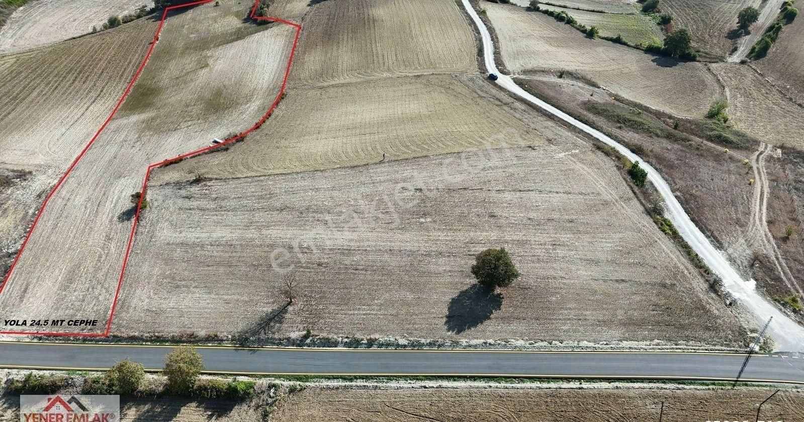 Emsallerinin Çok Altında ▒ Kaynarca Kertil 12.557m2 Fırsat Tarla - Görsel 3