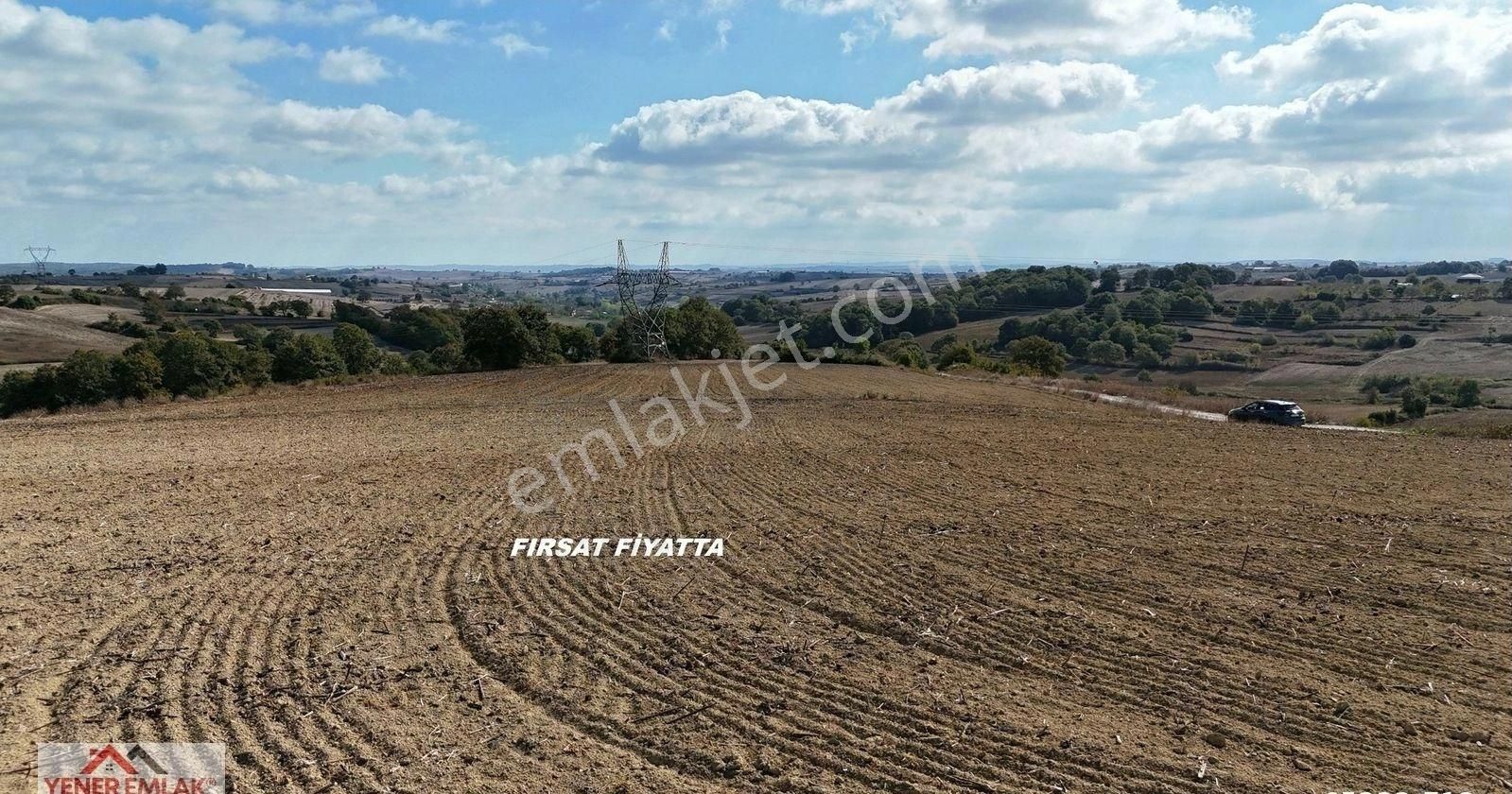 Emsallerinin Çok Altında ▒ Kaynarca Kertil 12.557m2 Fırsat Tarla - Görsel 29