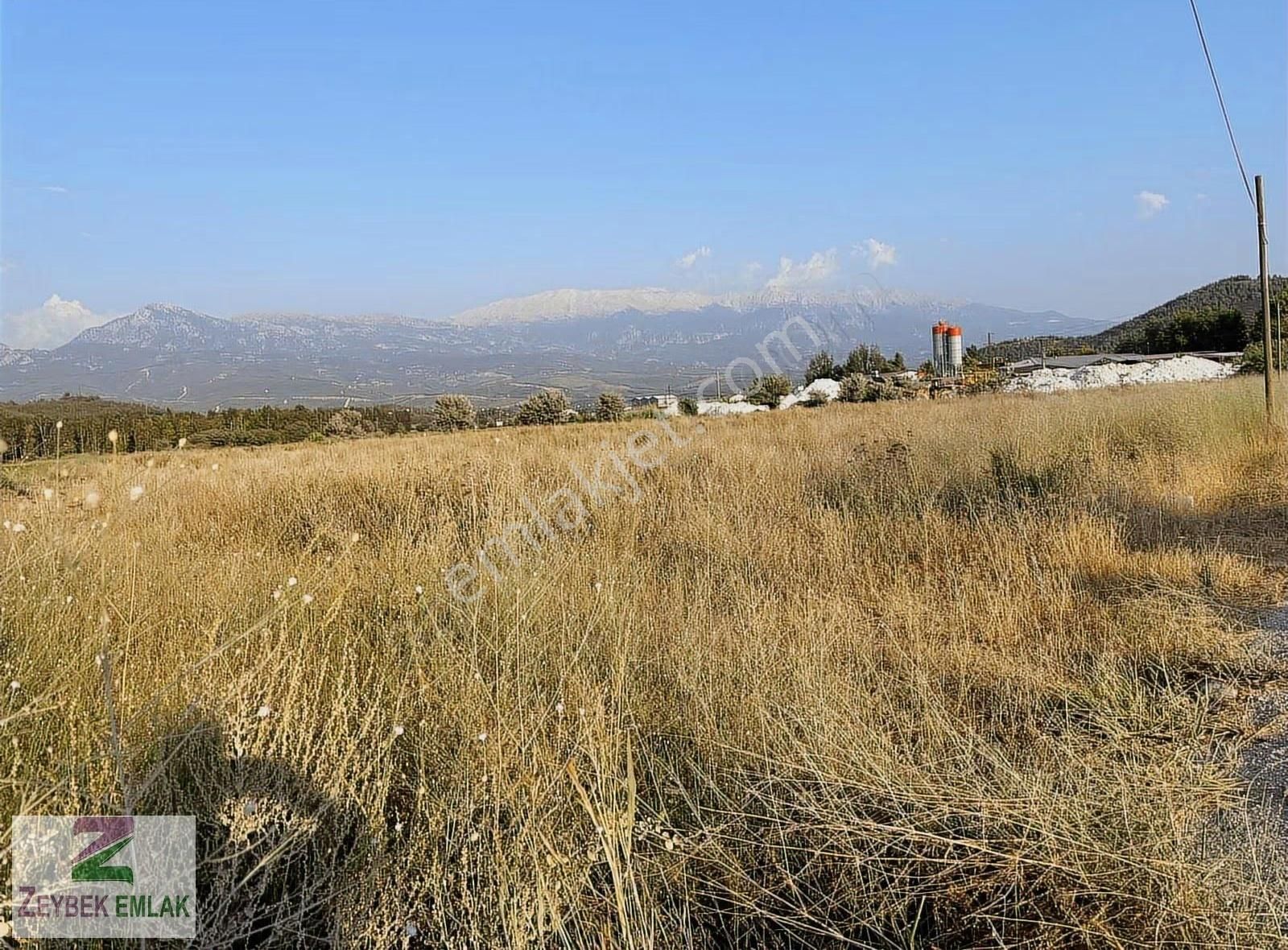 S.kemer Zorlar Mahallesinde Tarlamız Satılıktır - Görsel 5
