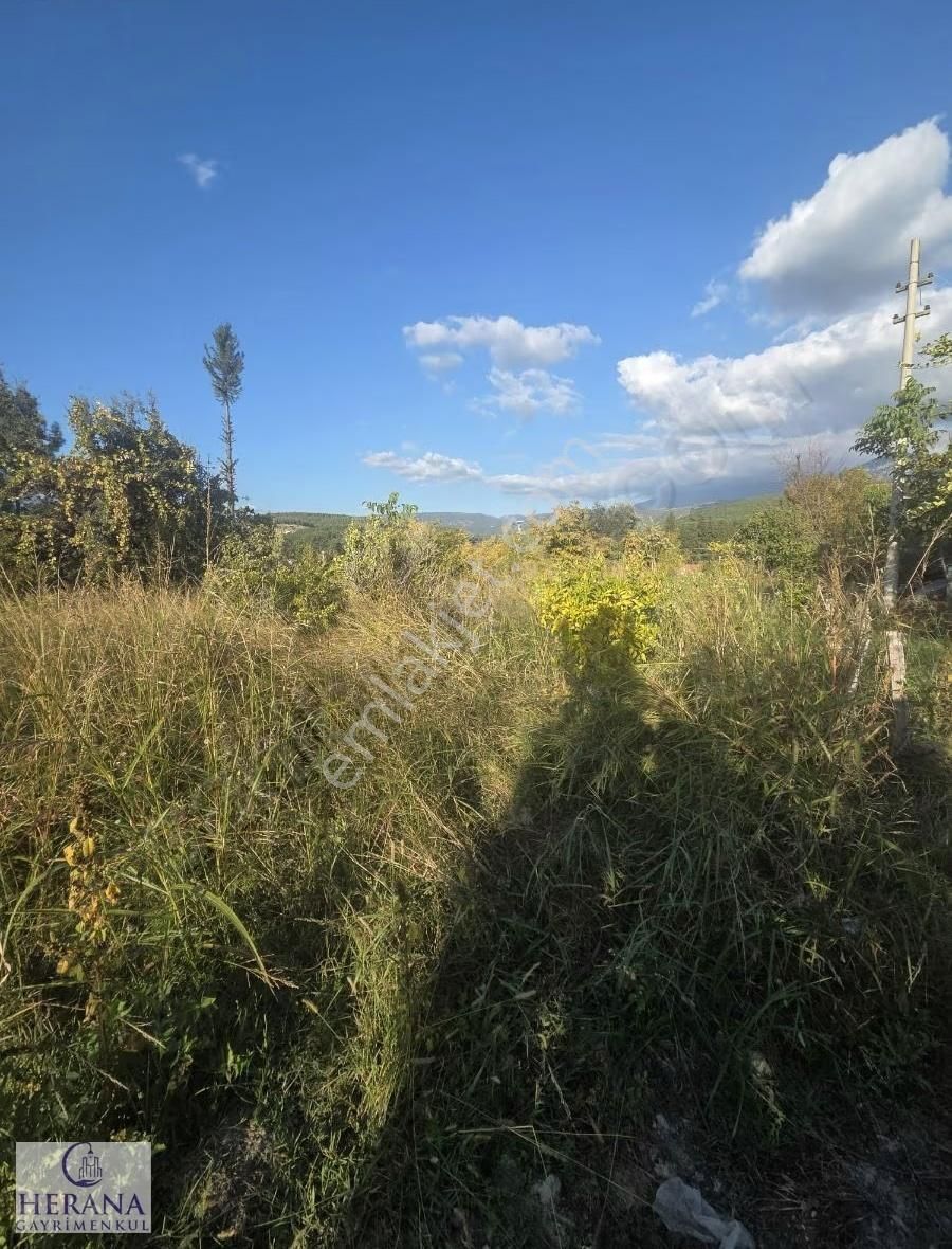 Muğla Seydikemer Kıncılar'da Satılık Köyiçi İmarlı Arsa