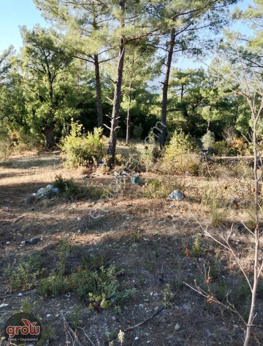 Grow Emlak Satılık 3100 M2 Tarla - Görsel 2