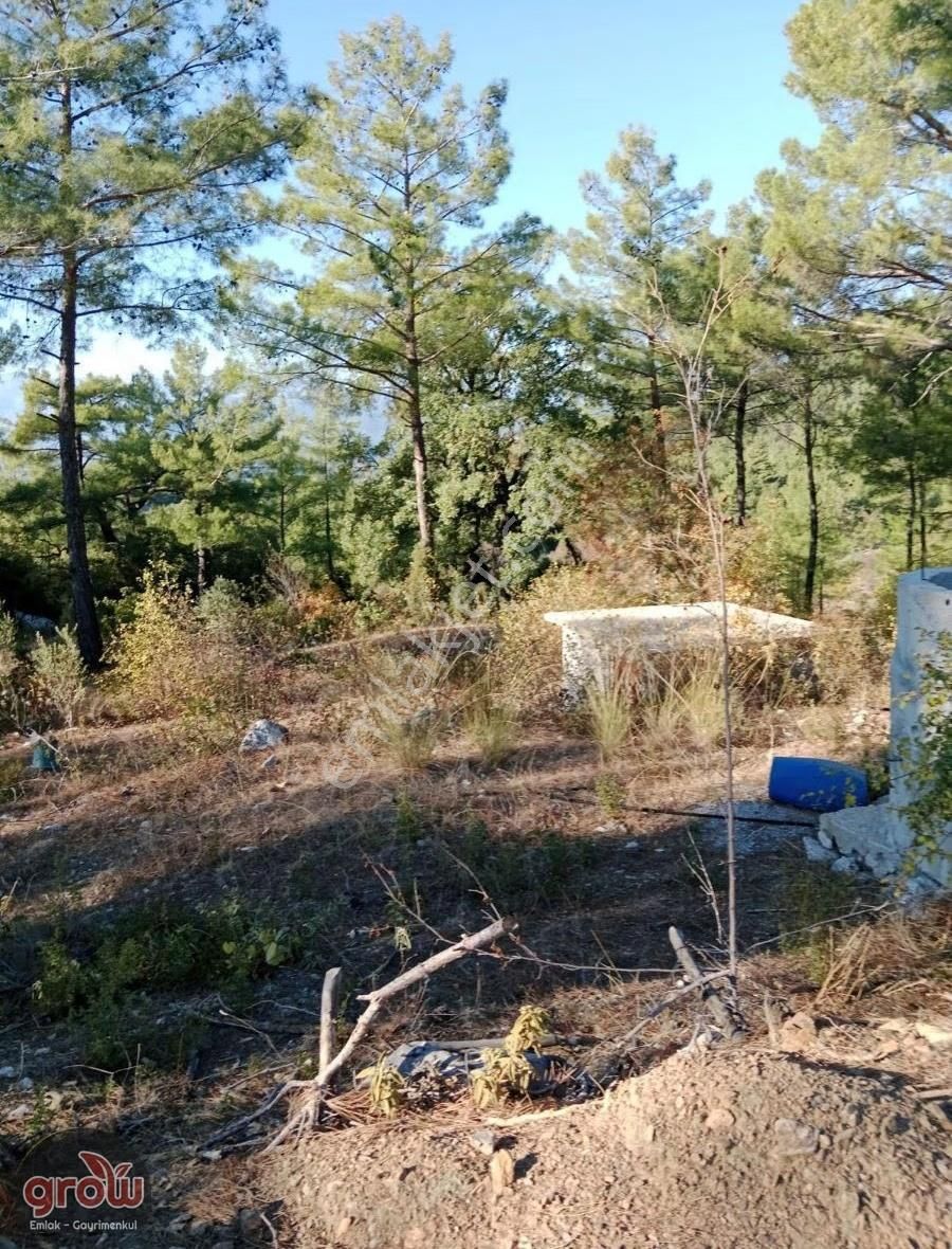 Grow Emlak Satılık 3100 M2 Tarla - Görsel 3