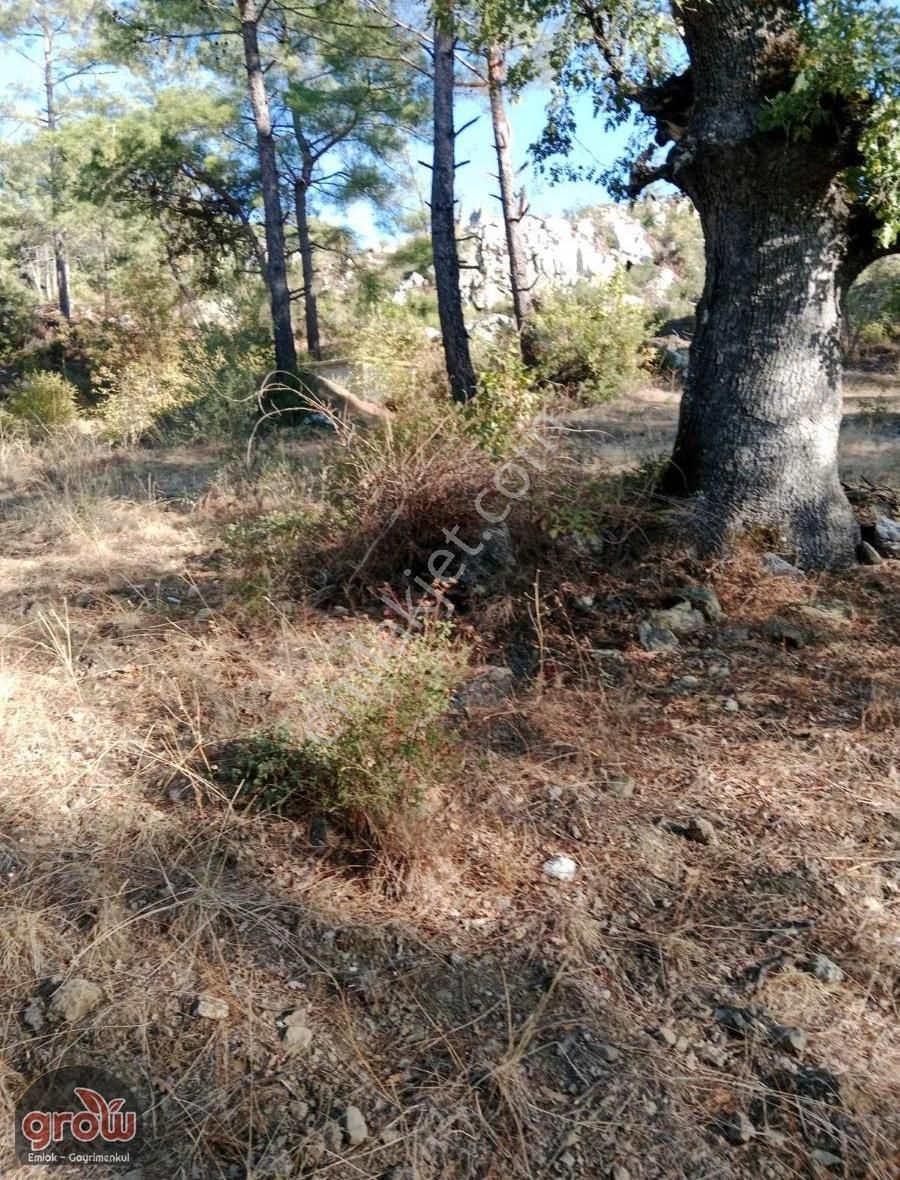 Grow Emlak Satılık 3100 M2 Tarla - Görsel 7