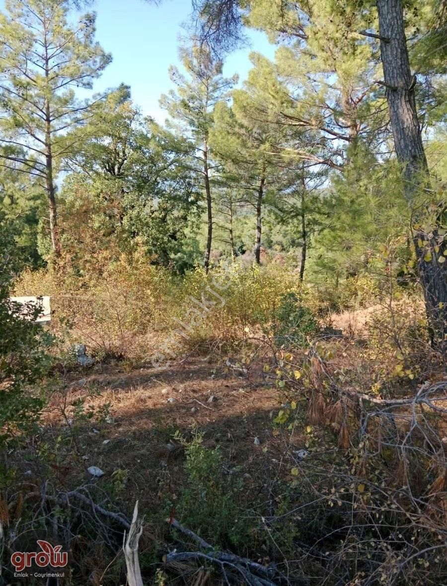 Grow Emlak Satılık 3100 M2 Tarla - Görsel 8