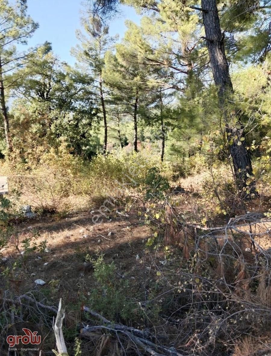 Grow Emlak Satılık 3100 M2 Tarla - Görsel 6
