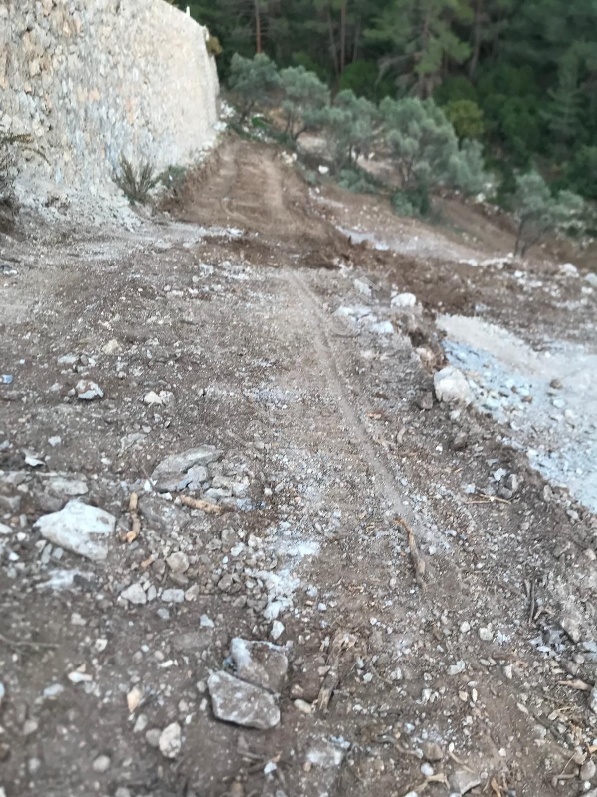 Müstakiltapu Arazi - Görsel 3