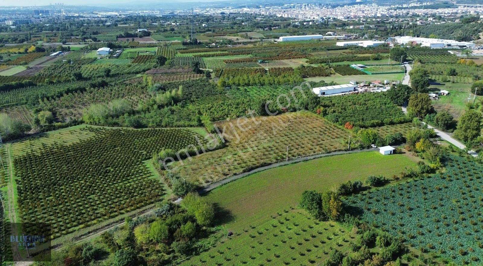 Bursa Osmangazi İsmetiye Asfalt Yola Cephe Satılık Arazi - Görsel 10