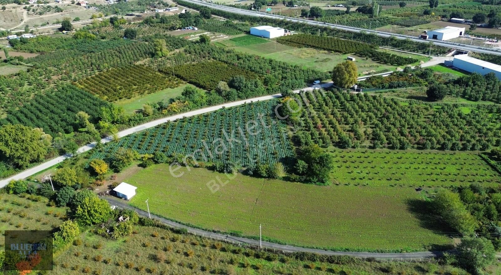 Bursa Osmangazi İsmetiye Asfalt Yola Cephe Satılık Arazi - Görsel 2