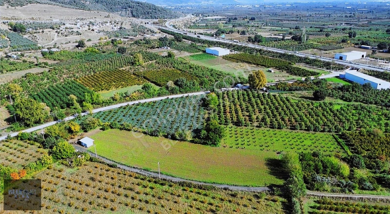Bursa Osmangazi İsmetiye Asfalt Yola Cephe Satılık Arazi - Görsel 14