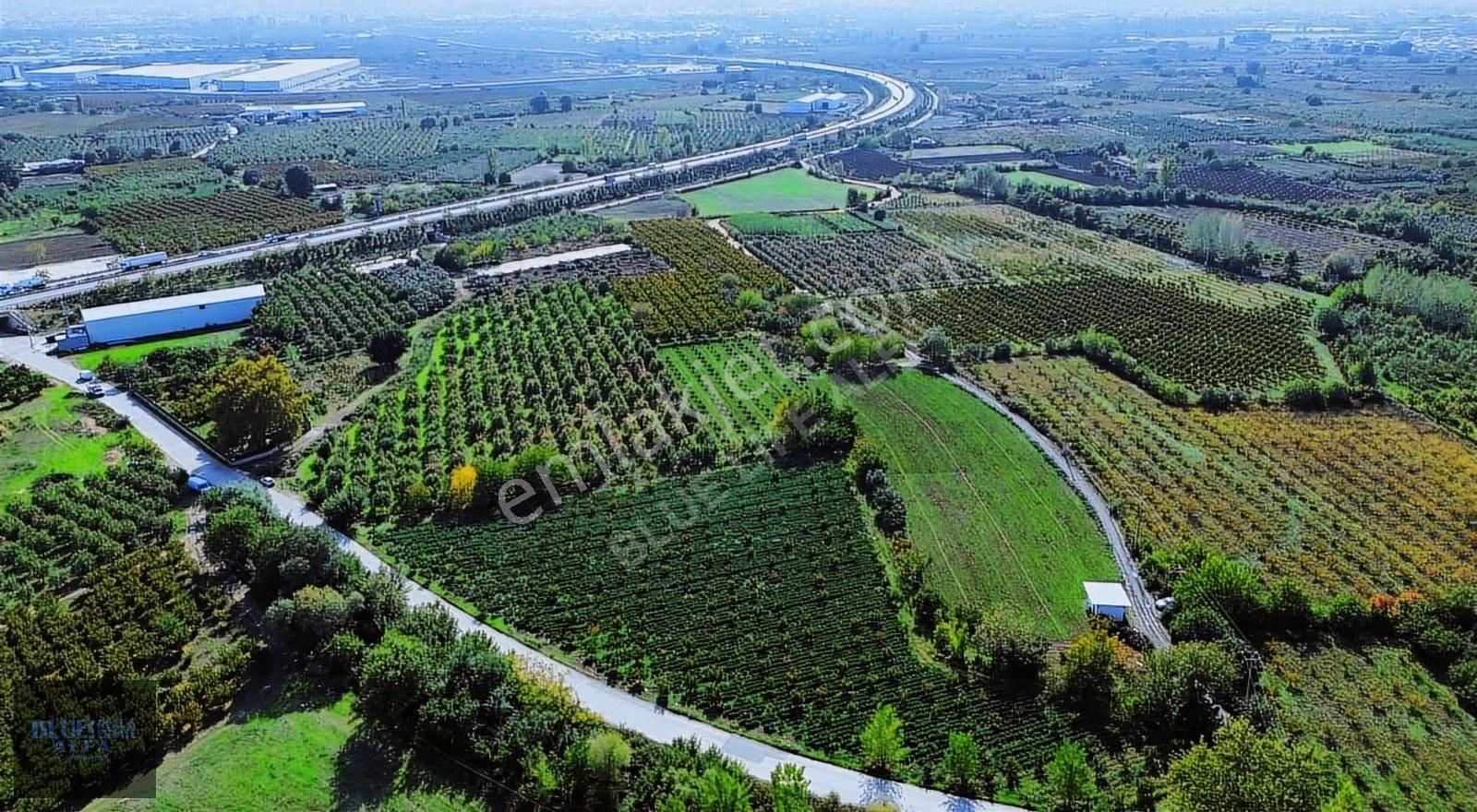 Bursa Osmangazi İsmetiye Asfalt Yola Cephe Satılık Arazi - Görsel 17