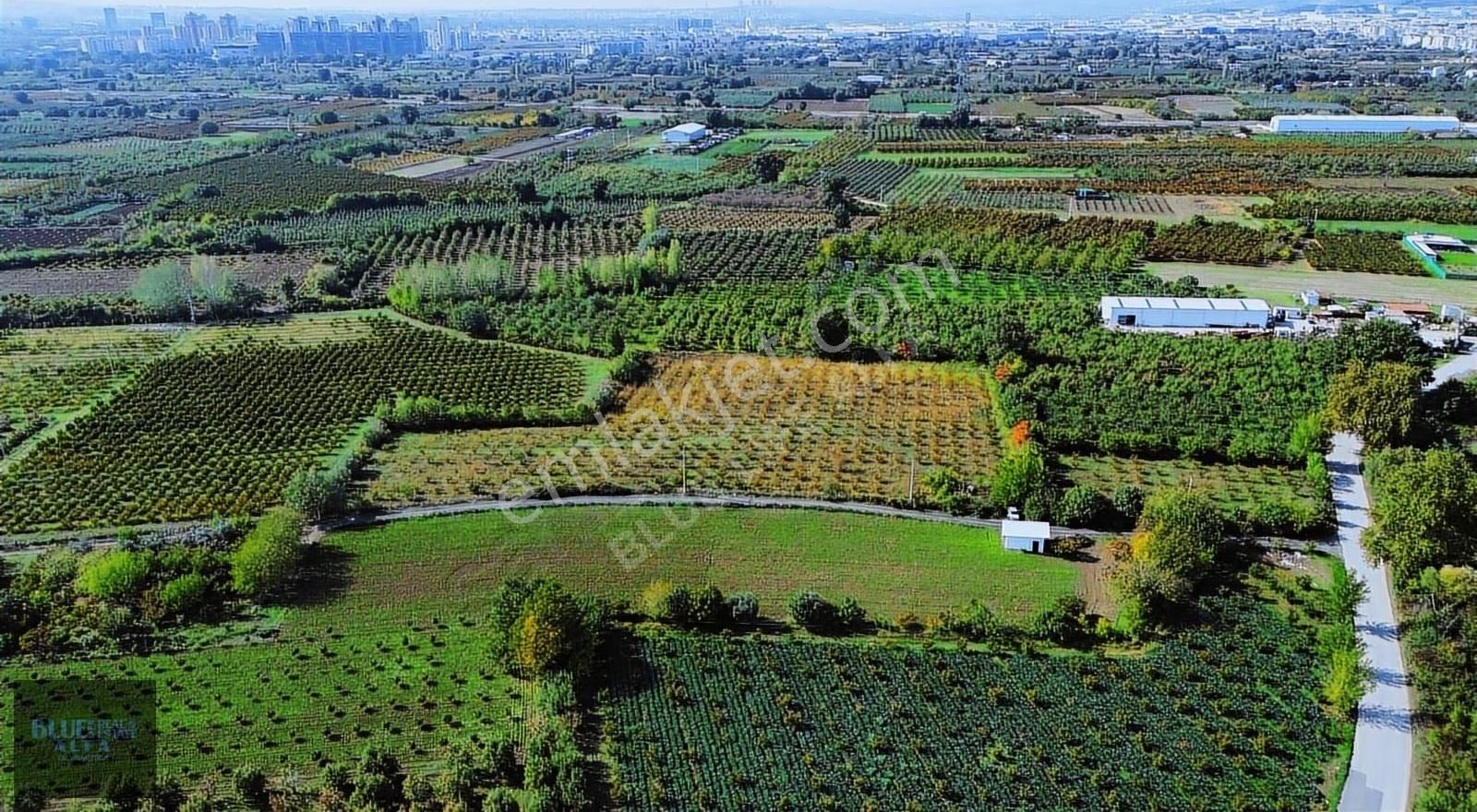 Bursa Osmangazi İsmetiye Asfalt Yola Cephe Satılık Arazi - Görsel 22