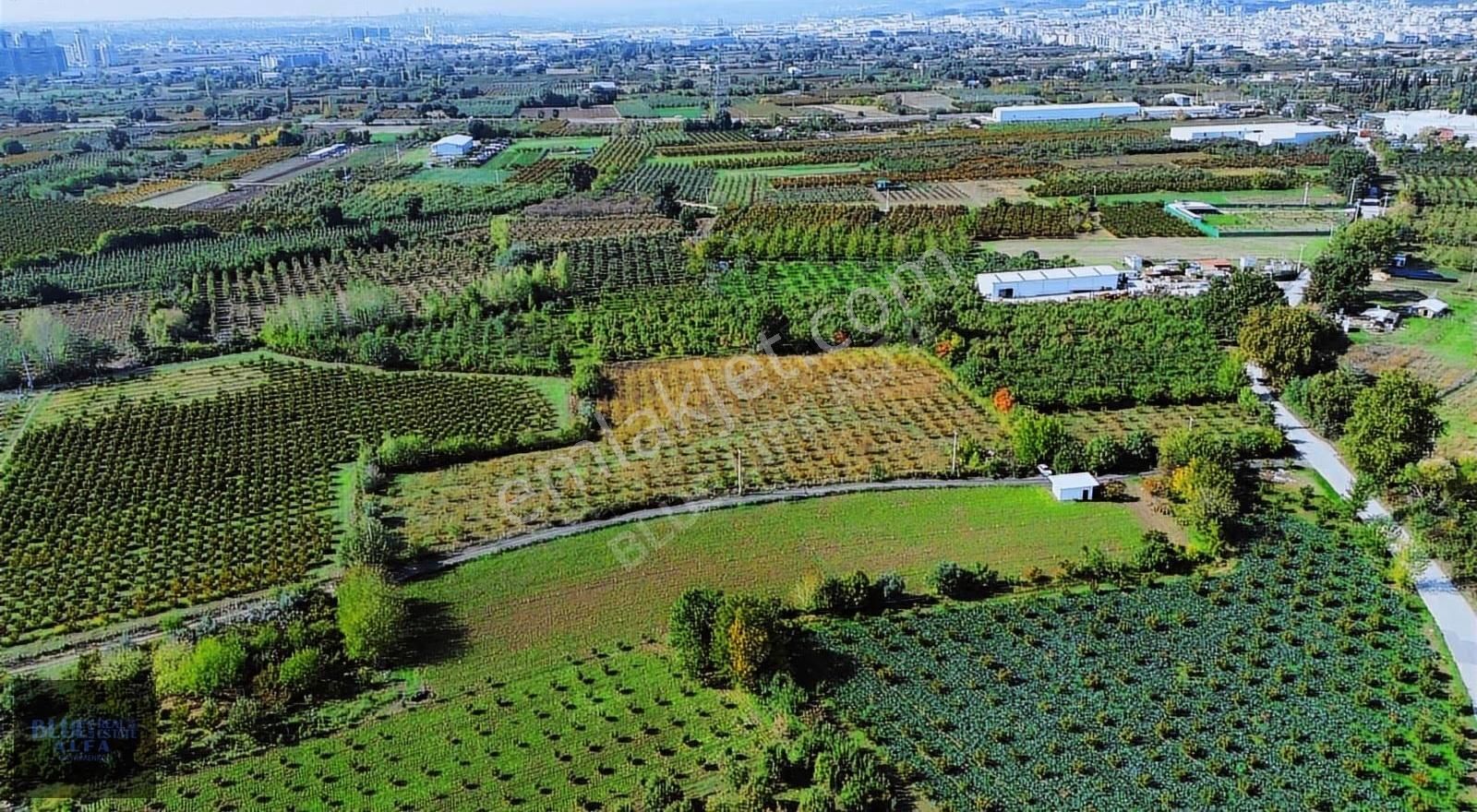 Bursa Osmangazi İsmetiye Asfalt Yola Cephe Satılık Arazi - Görsel 19