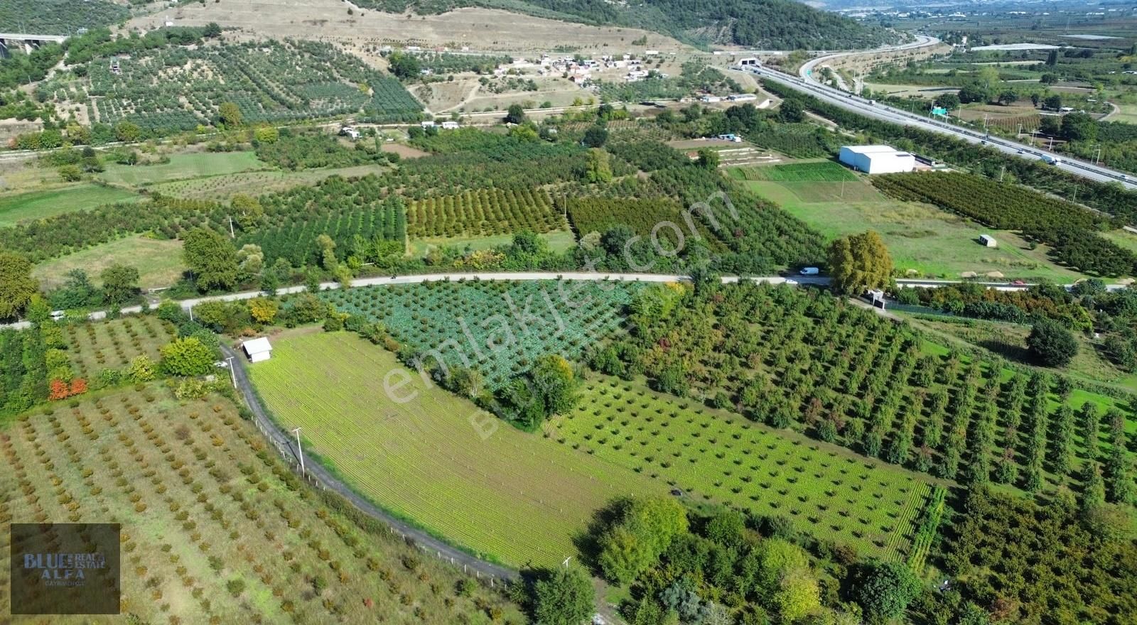 Bursa Osmangazi İsmetiye Asfalt Yola Cephe Satılık Arazi - Görsel 6