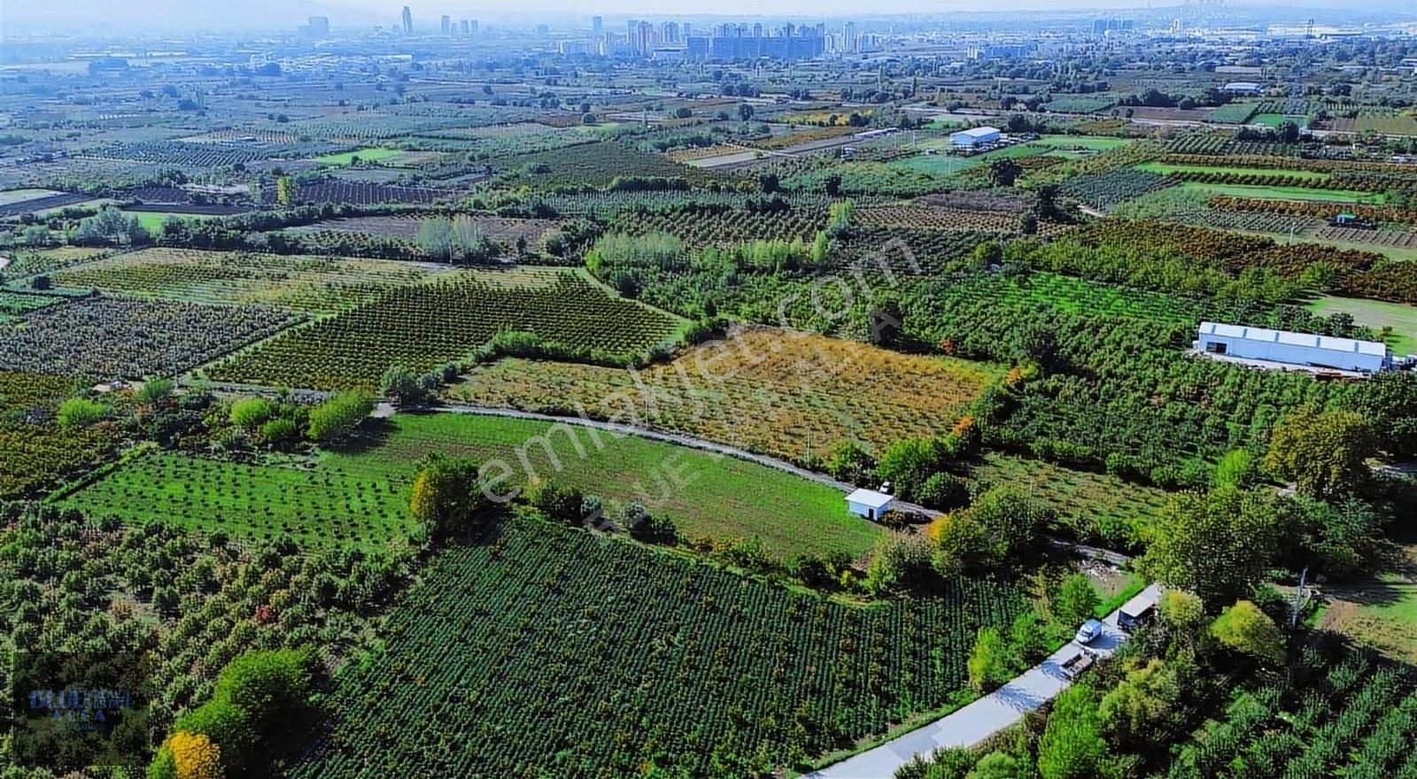 Bursa Osmangazi İsmetiye Asfalt Yola Cephe Satılık Arazi - Görsel 12