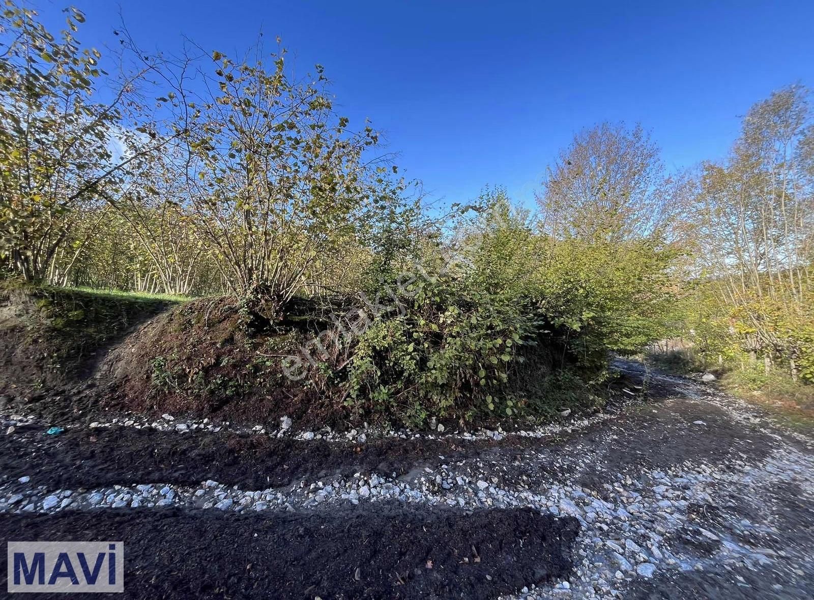 Remax Mavi Den 5842 M² Çift Yol Cepheli İmar Sınırında F.bahçesi - Görsel 11