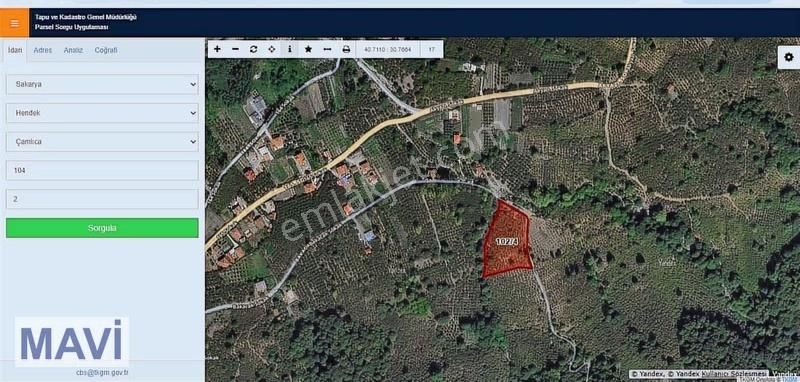 Remax Mavi Den 5842 M² Çift Yol Cepheli İmar Sınırında F.bahçesi - Görsel 5