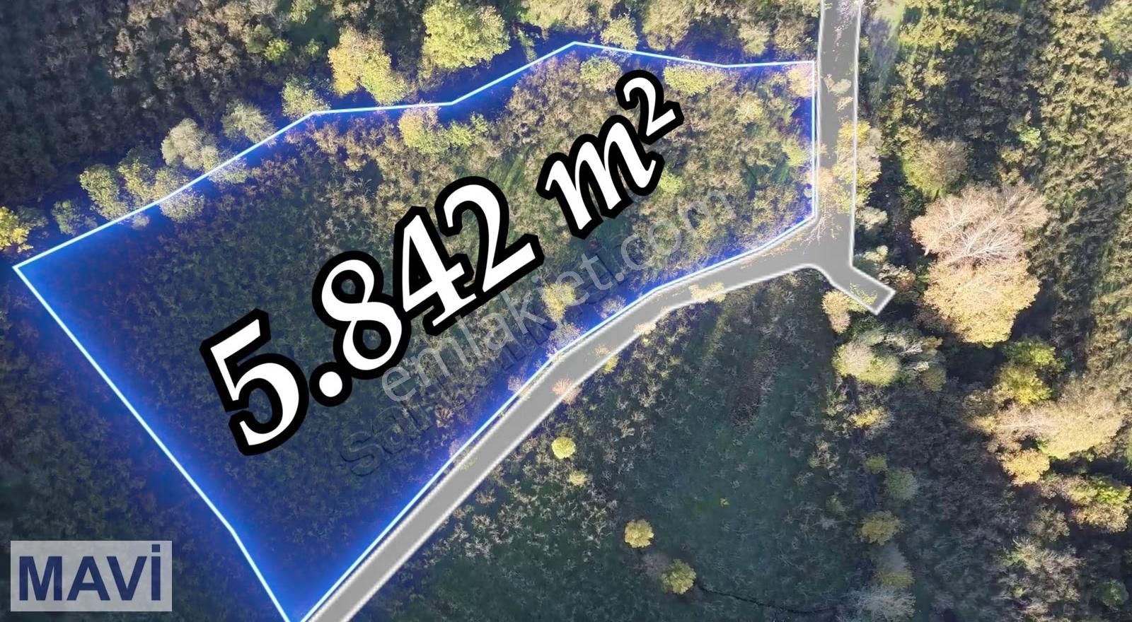 Remax Mavi Den 5842 M² Çift Yol Cepheli İmar Sınırında F.bahçesi - Görsel 4