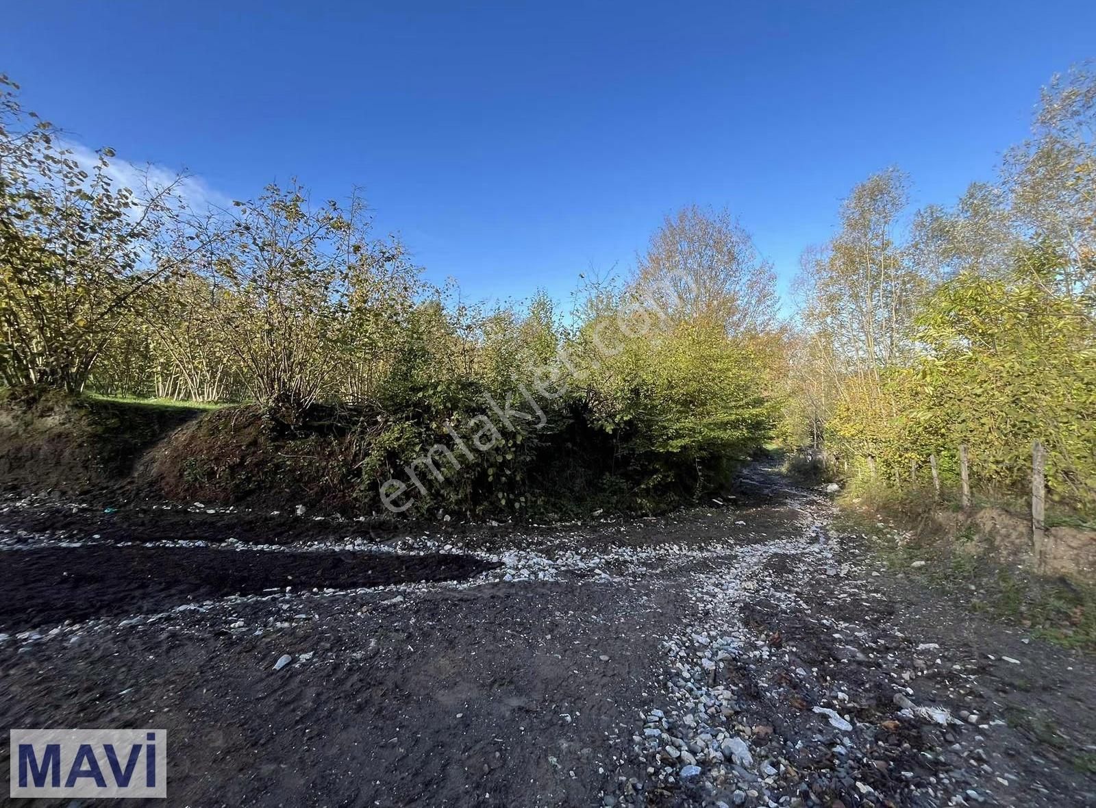 Remax Mavi Den 5842 M² Çift Yol Cepheli İmar Sınırında F.bahçesi