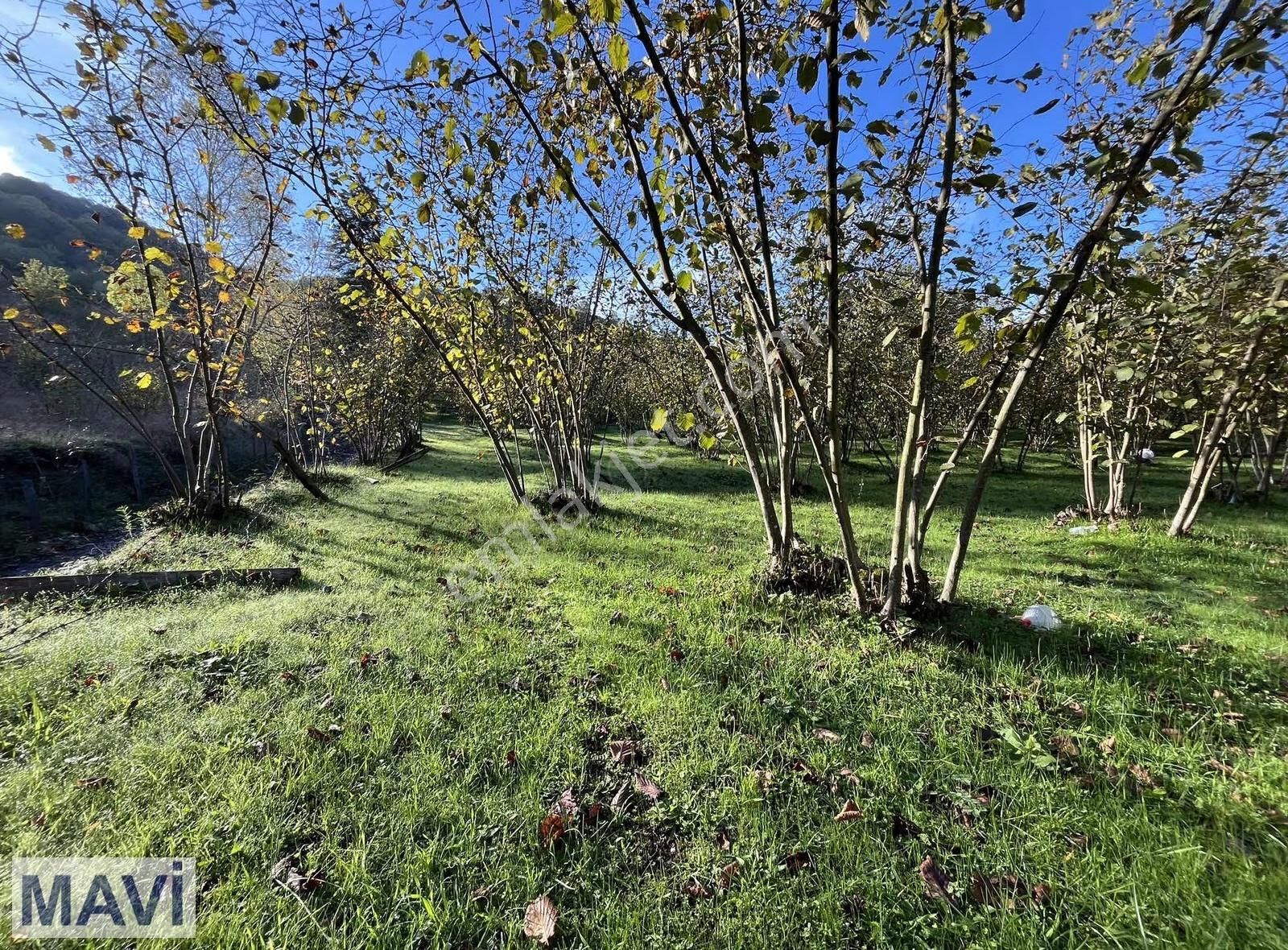 Remax Mavi Den 5842 M² Çift Yol Cepheli İmar Sınırında F.bahçesi - Görsel 15