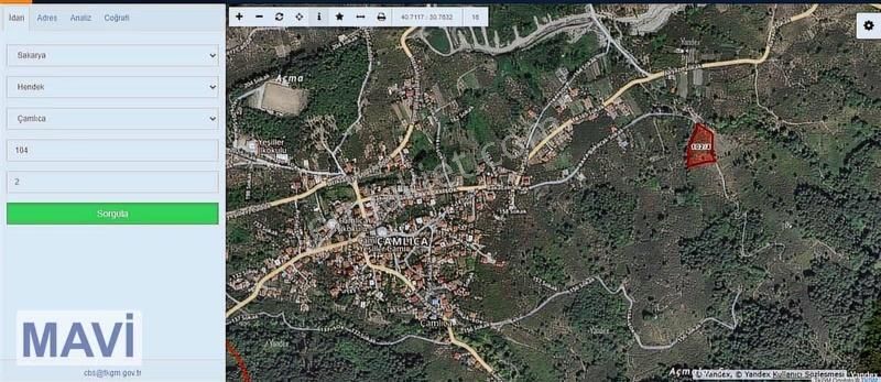 Remax Mavi Den 5842 M² Çift Yol Cepheli İmar Sınırında F.bahçesi - Görsel 12