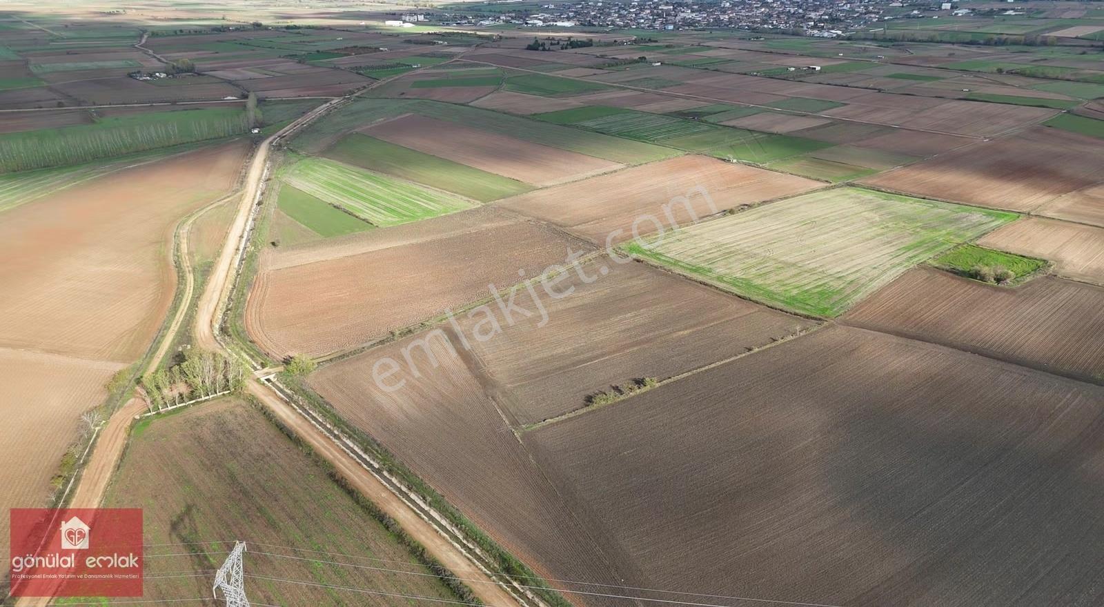 Kırklareli Kavaklı'ya Yakın Anakanal Yanında Sulanabilir 4.800m² - Görsel 15