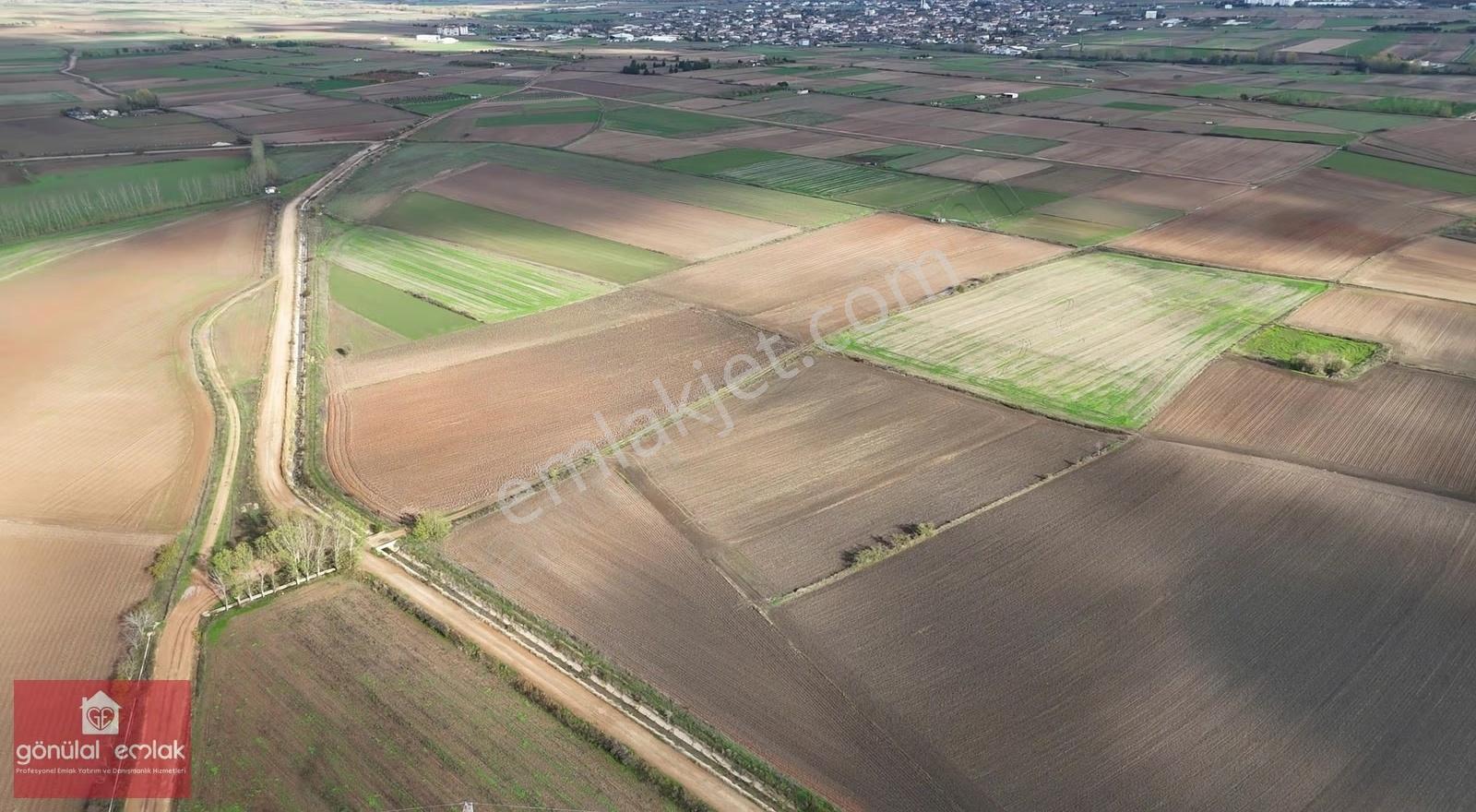 Kırklareli Kavaklı'ya Yakın Anakanal Yanında Sulanabilir 4.800m² - Görsel 8