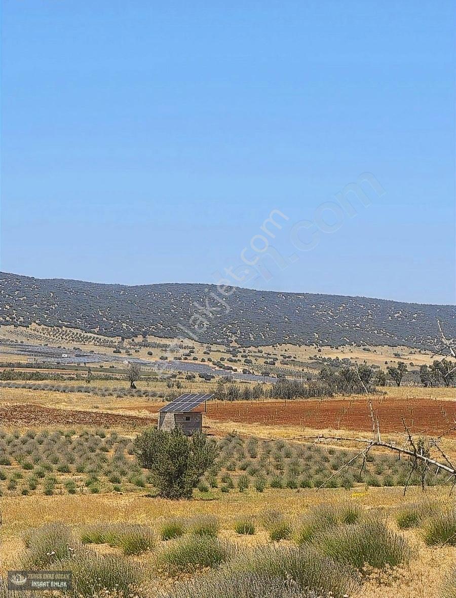 Yunus Emre Özcan İnşaat Emlâk - Görsel 4