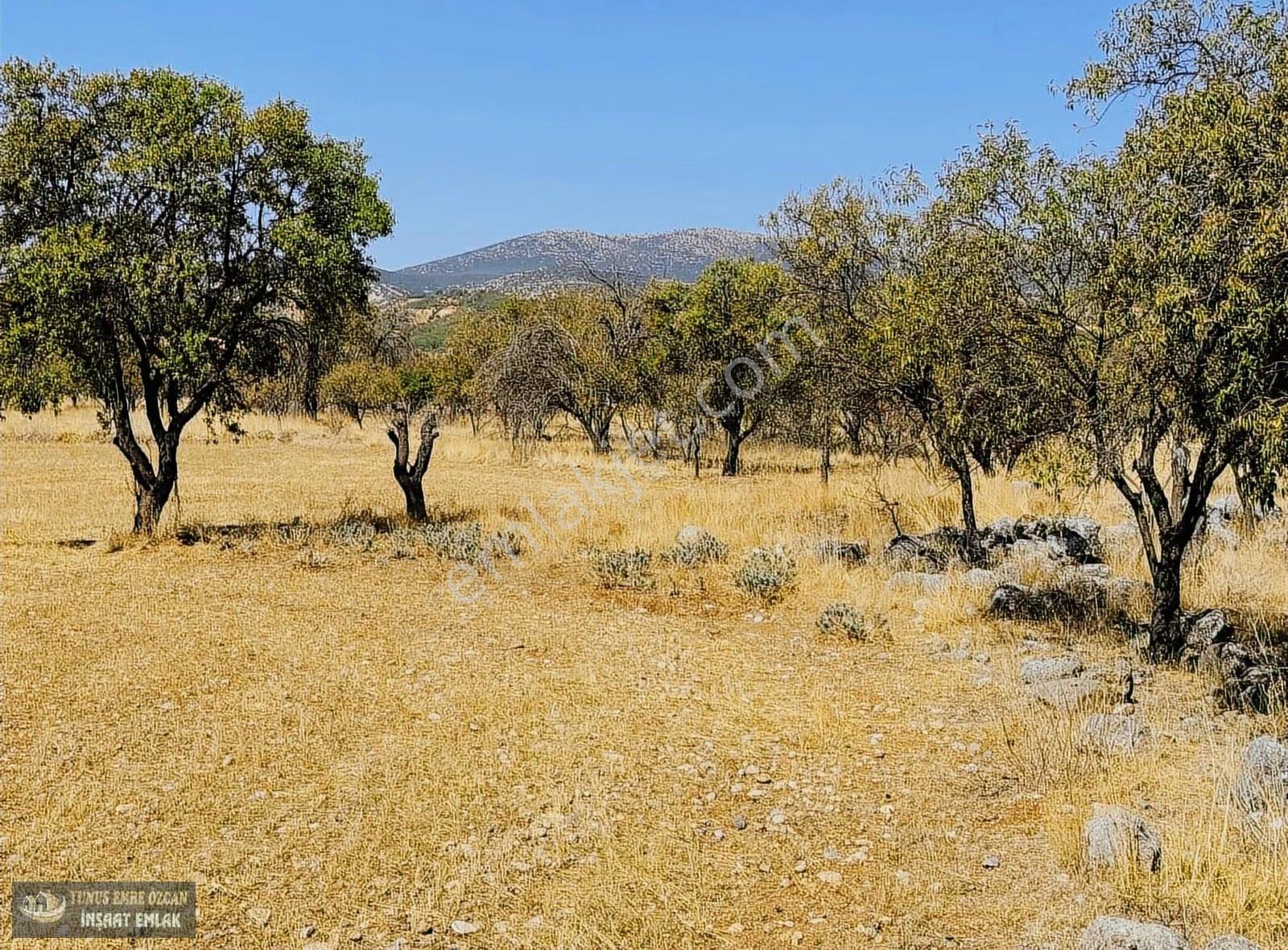 Yunus Emre Özcan İnşaat Emlâk - Görsel 6
