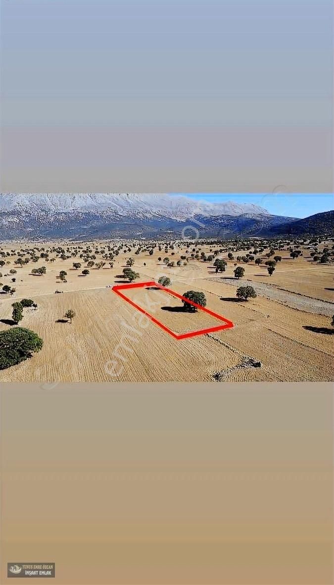 Korkuteli Avdan Susuz Da Satılık Parsel - Görsel 15