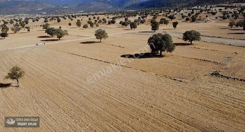 Korkuteli Avdan Susuz Da Satılık Parsel
