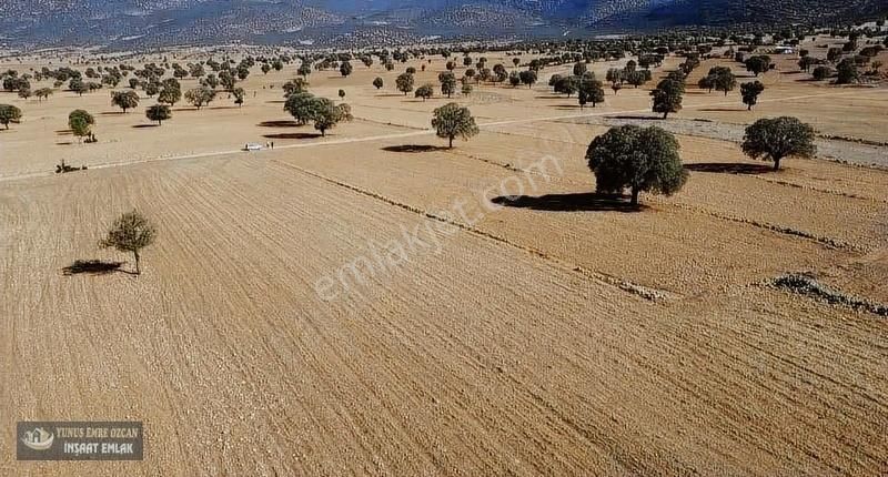 Korkuteli Avdan Susuz Da Satılık Parsel - Görsel 10
