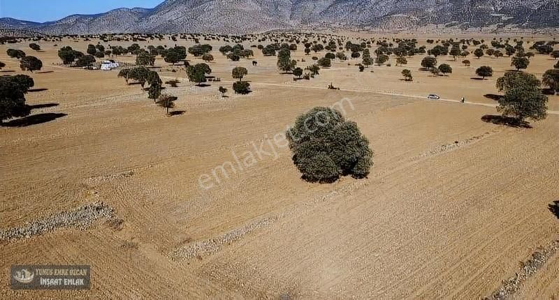 Korkuteli Avdan Susuz Da Satılık Parsel - Görsel 12