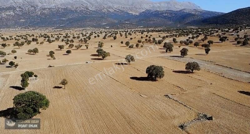 Korkuteli Avdan Susuz Da Satılık Parsel - Görsel 8