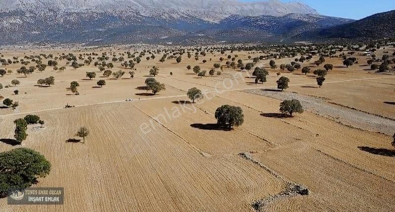 Korkuteli Avdan Susuz Da Satılık Parsel - Görsel 6