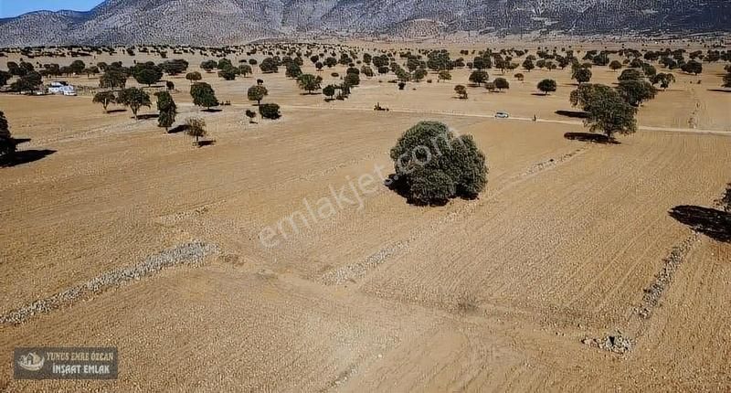 Korkuteli Avdan Susuz Da Satılık Parsel - Görsel 13