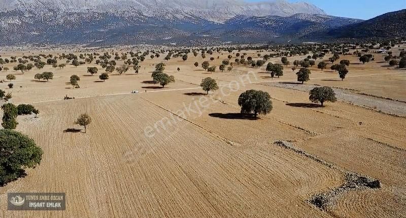 Korkuteli Avdan Susuz Da Satılık Parsel - Görsel 3