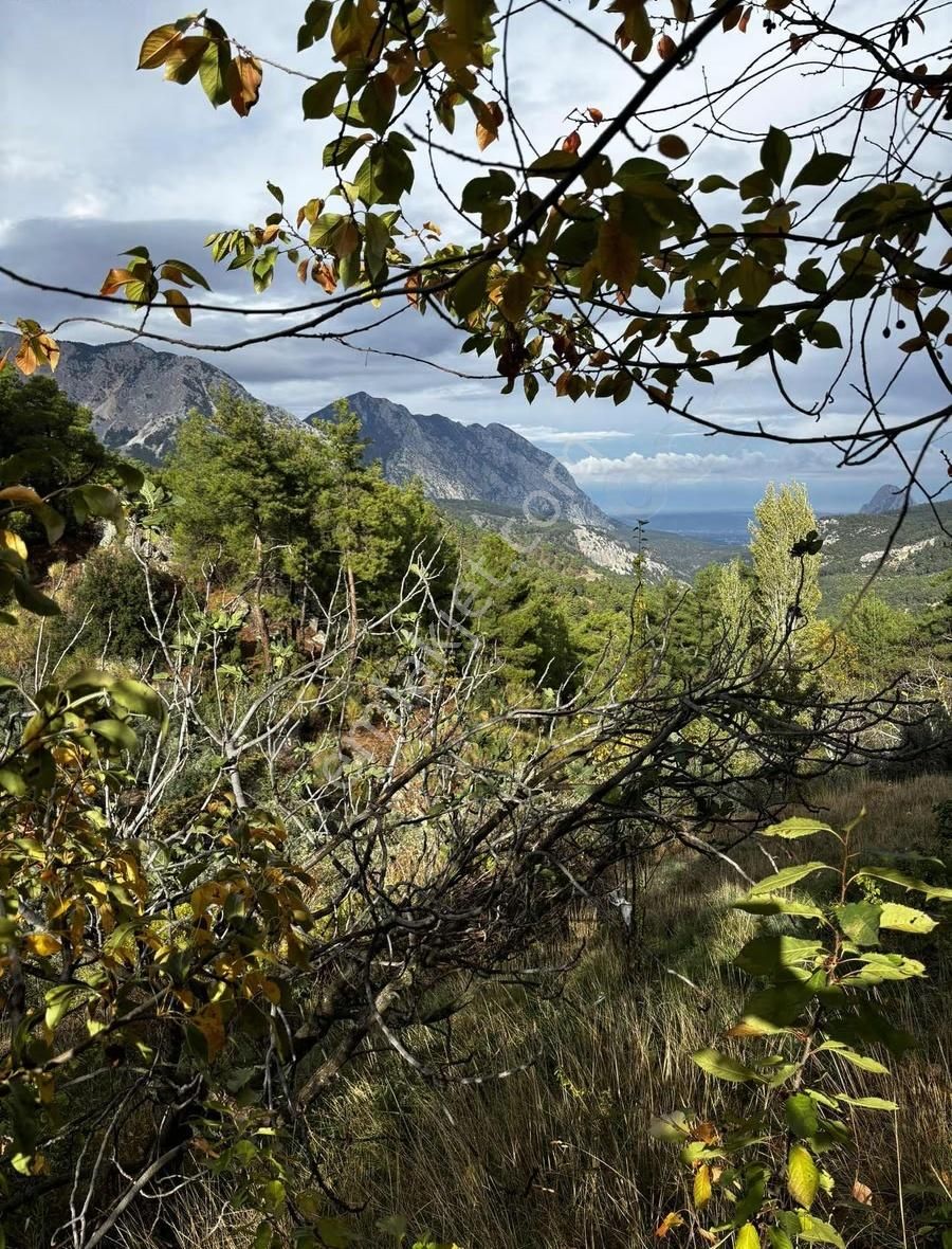 B&f Hurma Emlaktan Yarbaşçandır'ında İçi Evli Manzaralı Arsa - Görsel 11