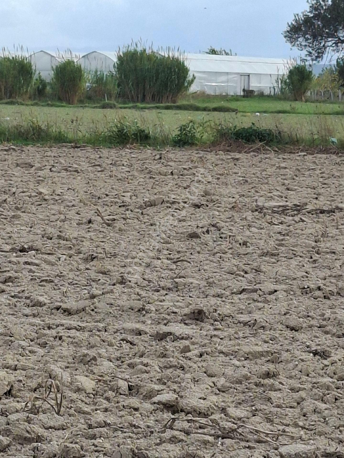 Foça Gerenköyde 125 M2 - Görsel 15