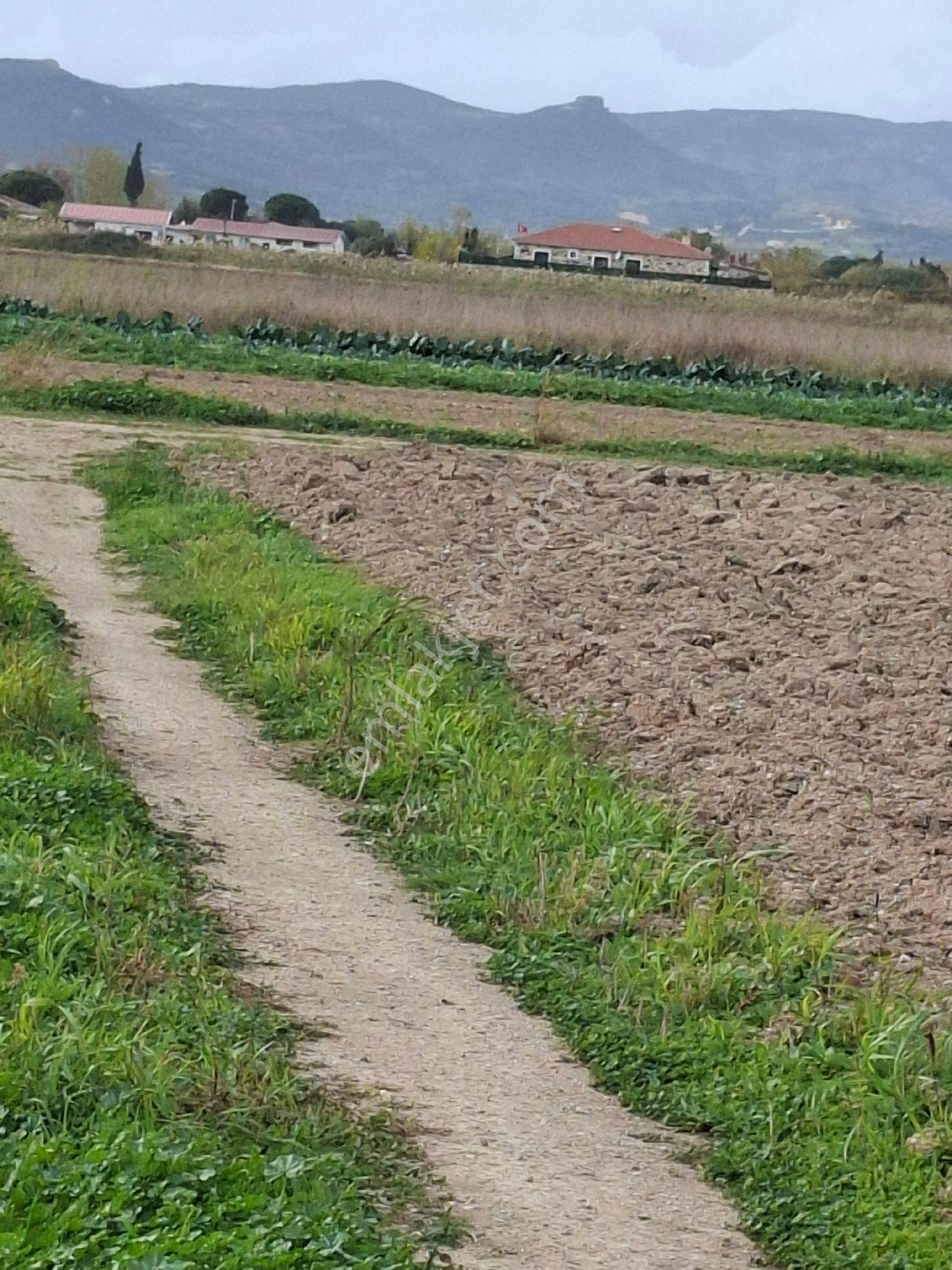 Foça Gerenköyde 125 M2 - Görsel 17