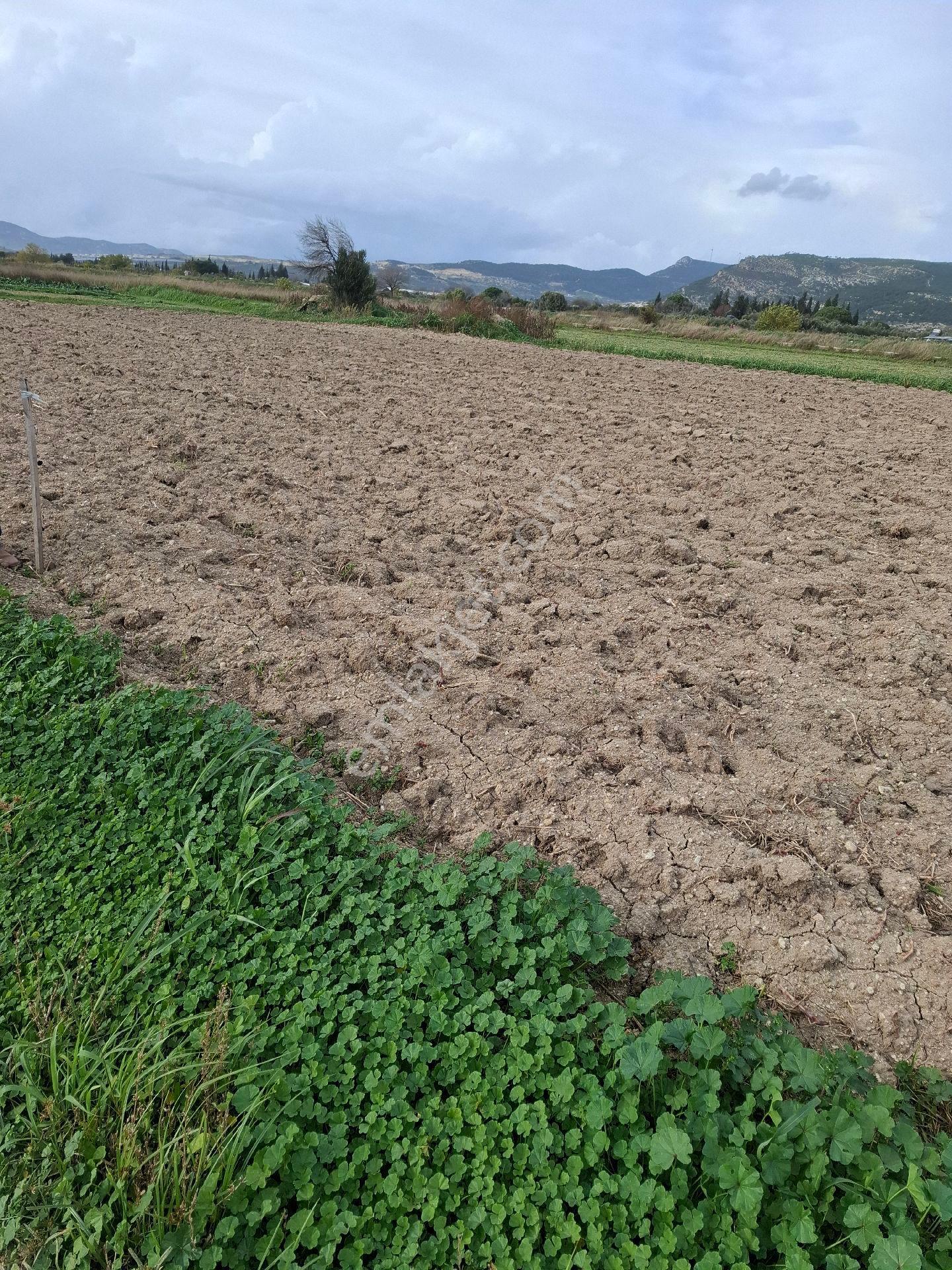 Foça Gerenköyde 125 M2 - Görsel 27