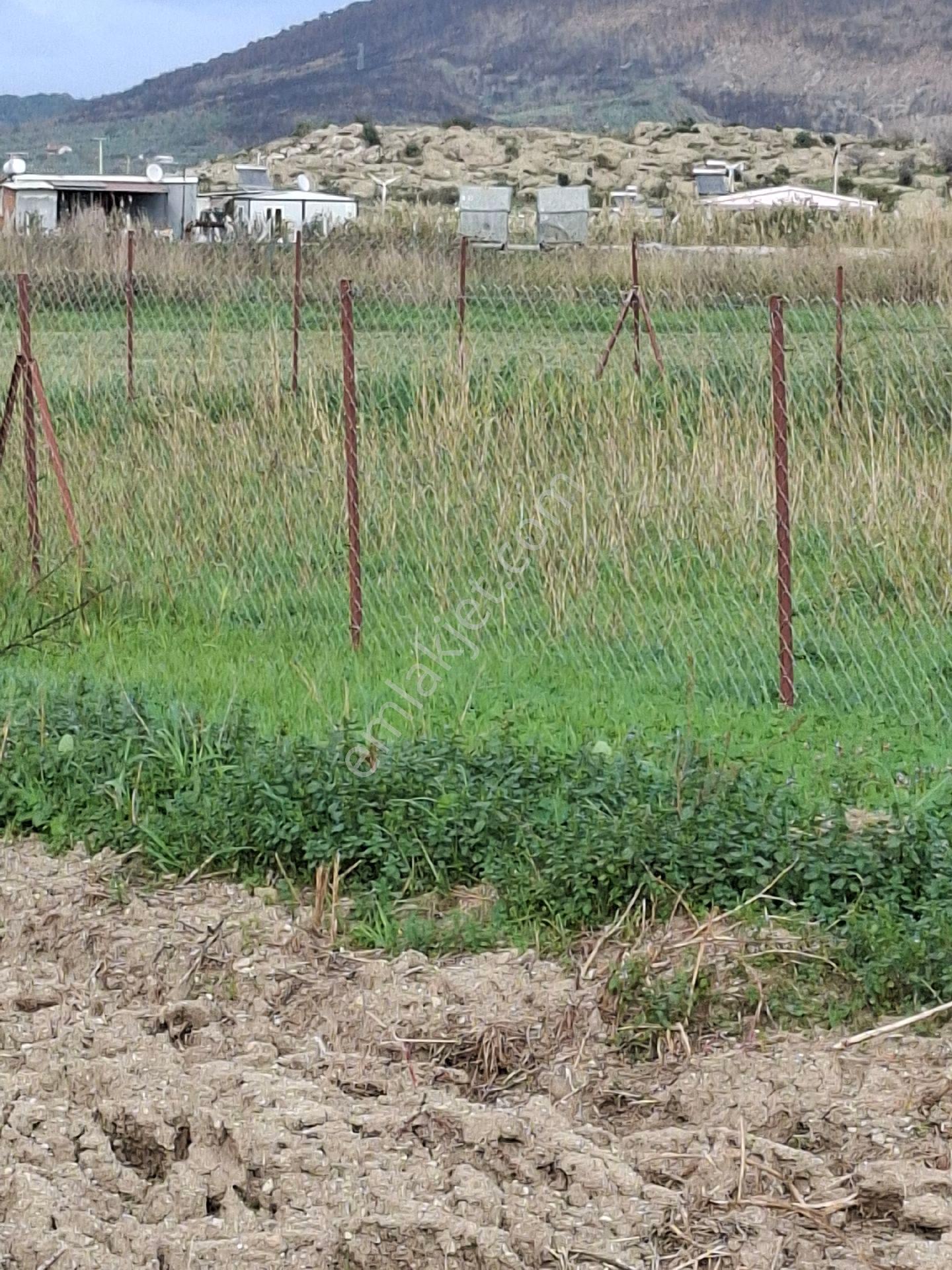 Foça Gerenköyde 125 M2 - Görsel 25