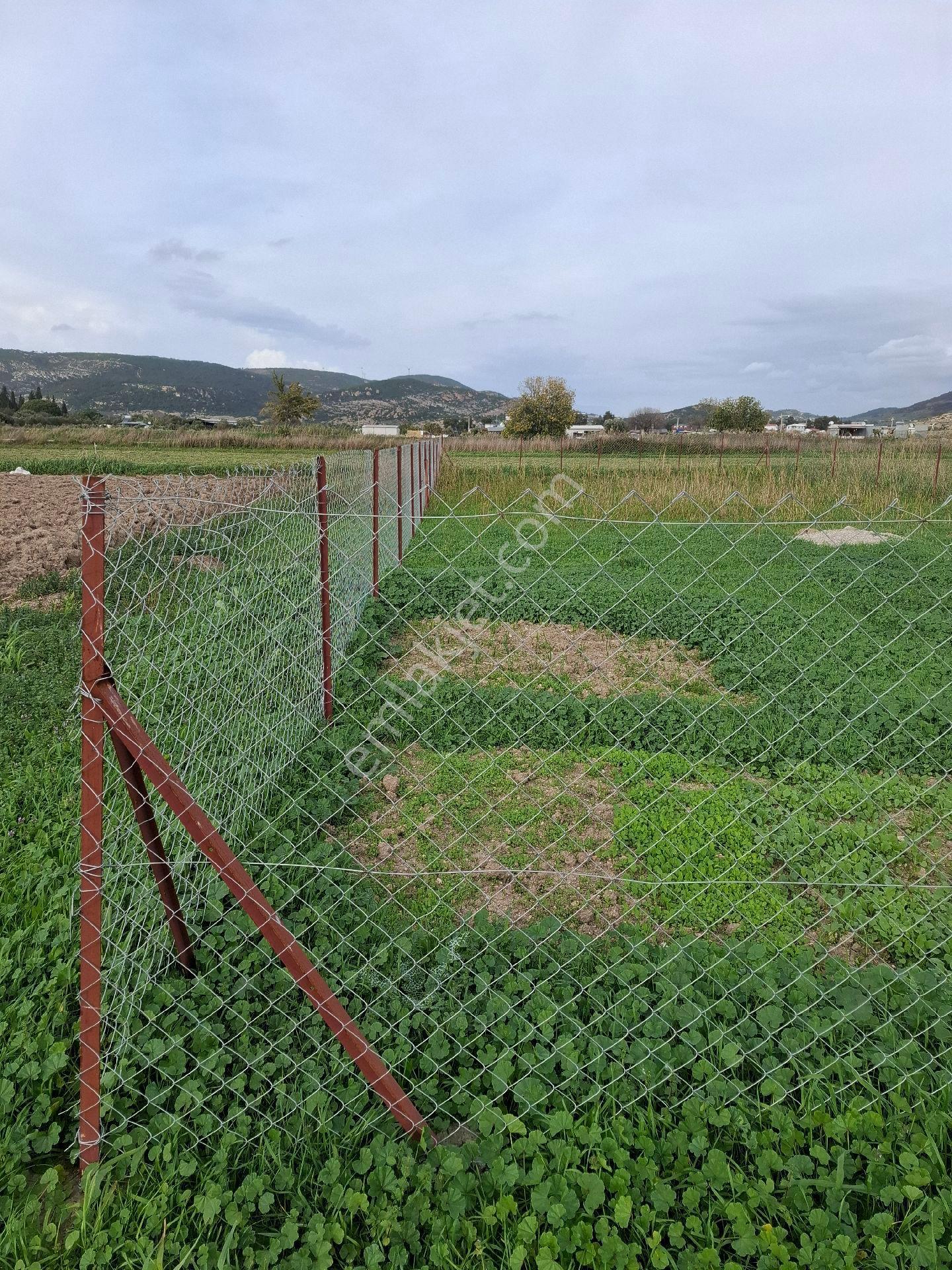 Foça Gerenköyde 125 M2 - Görsel 3