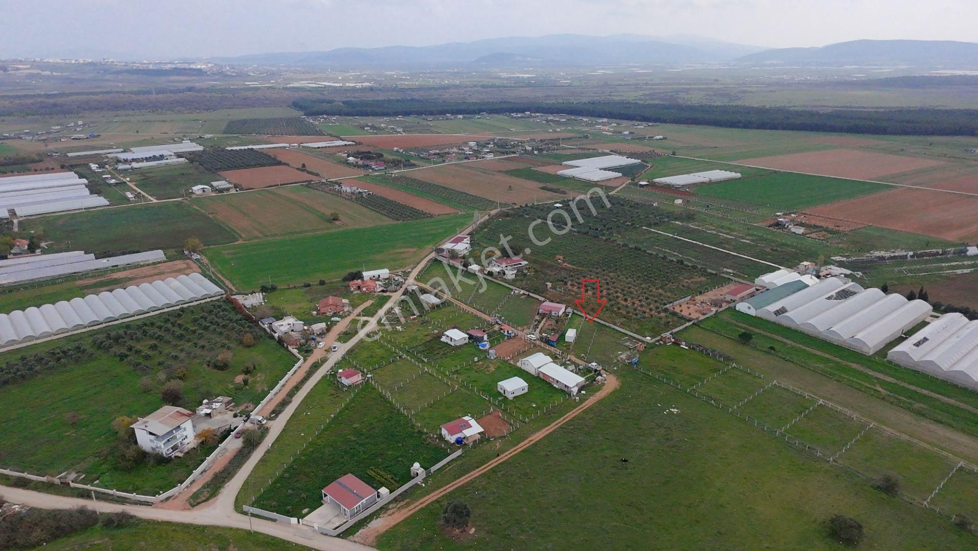 Menderes Develi'de 277 M2 Tapudan Satışlı Tarla - Görsel 9