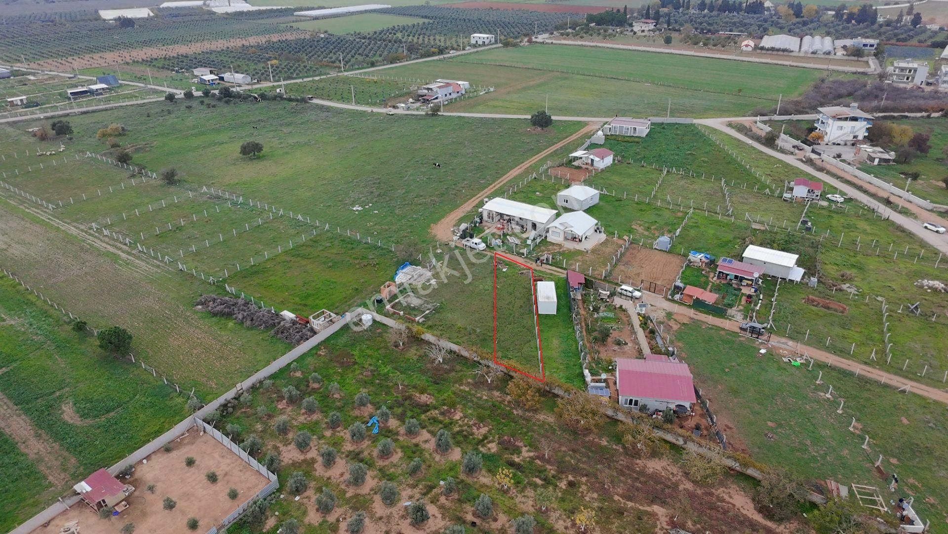 Menderes Develi'de 277 M2 Tapudan Satışlı Tarla - Görsel 8