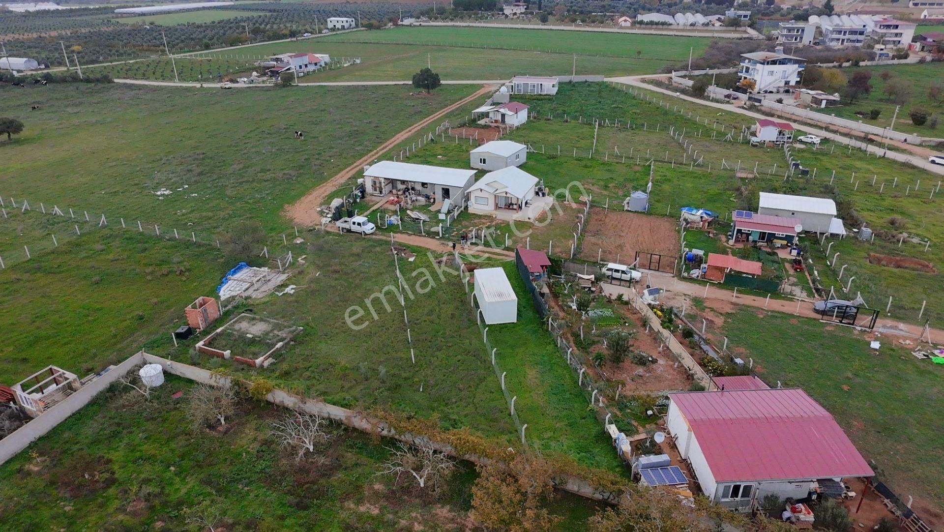 Menderes Develi'de 277 M2 Tapudan Satışlı Tarla - Görsel 12