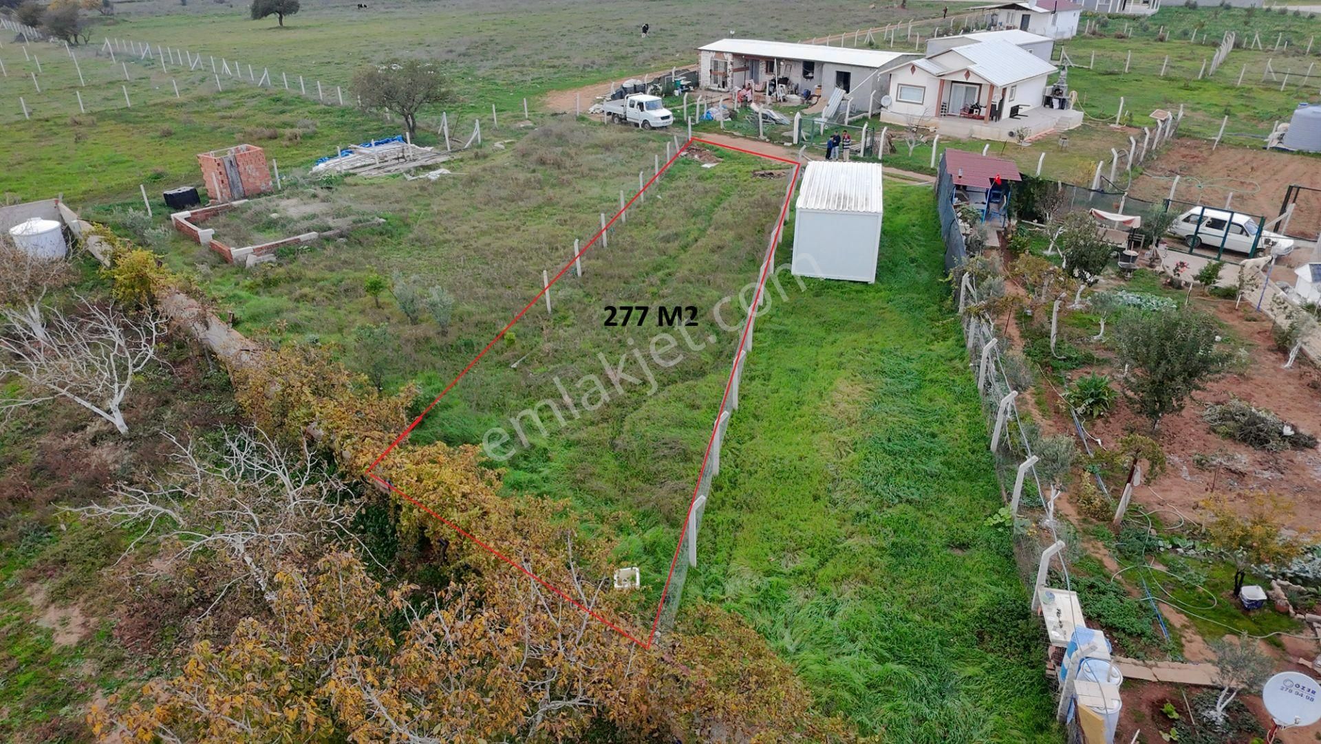 Menderes Develi'de 277 M2 Tapudan Satışlı Tarla