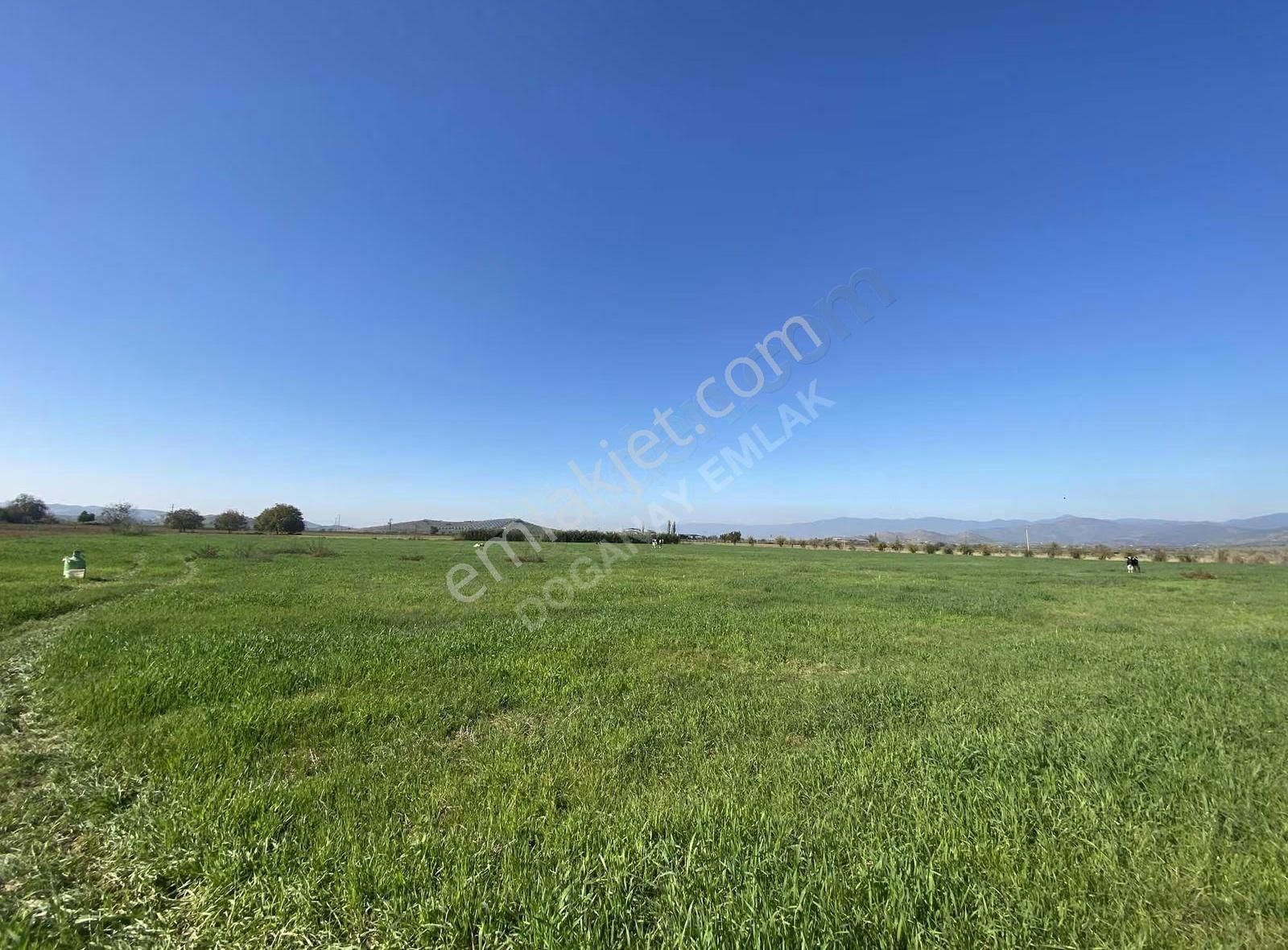 Doğanay Emlaktan Satılık Tarla - Görsel 15