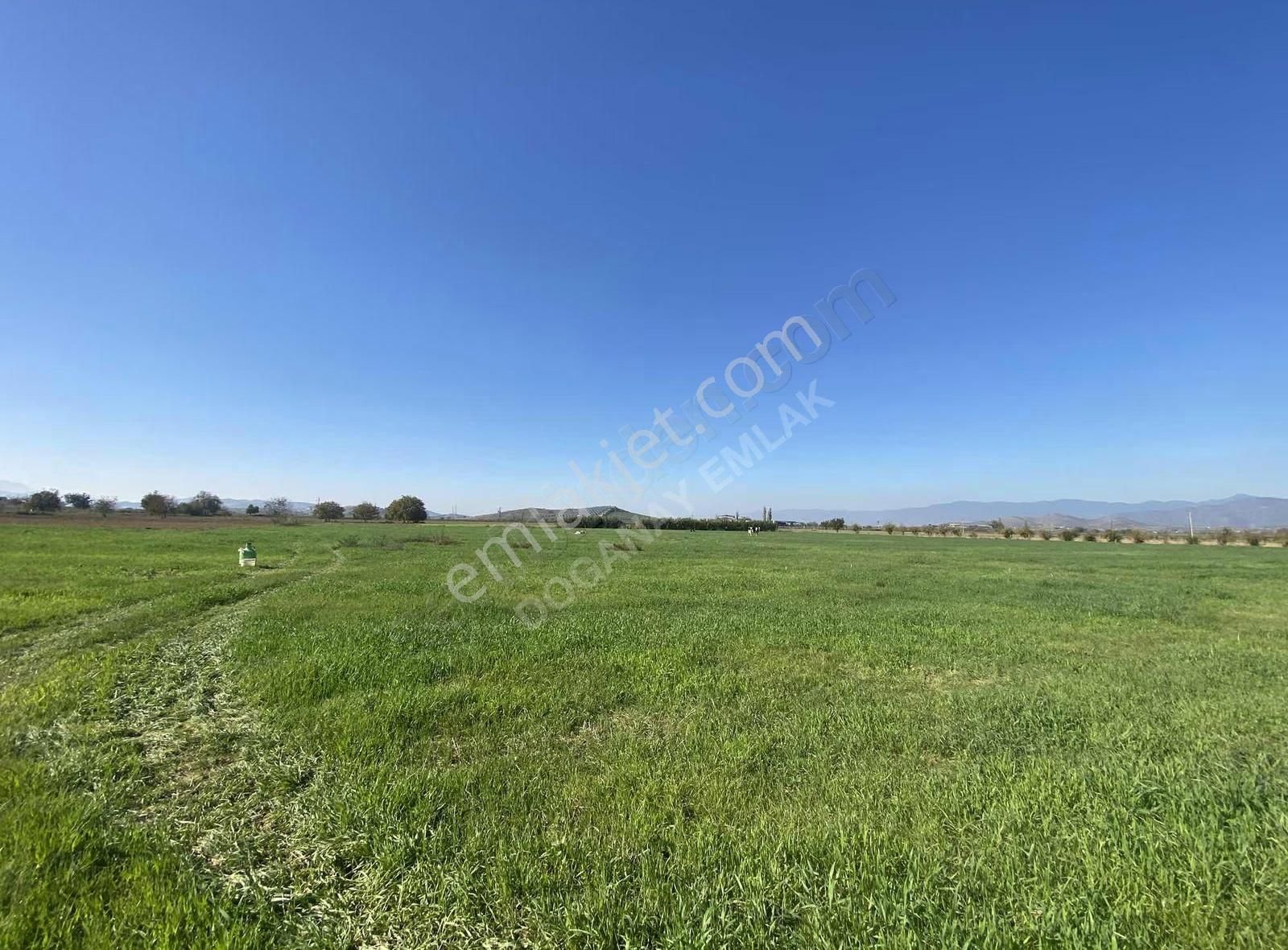 Doğanay Emlaktan Satılık Tarla - Görsel 21
