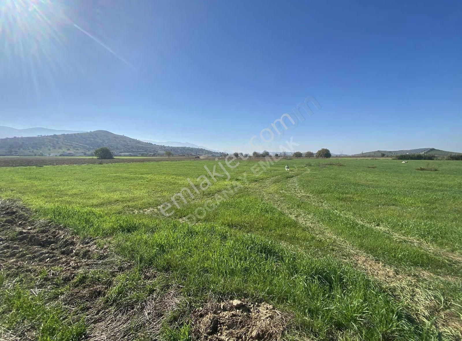 Doğanay Emlaktan Satılık Tarla - Görsel 20